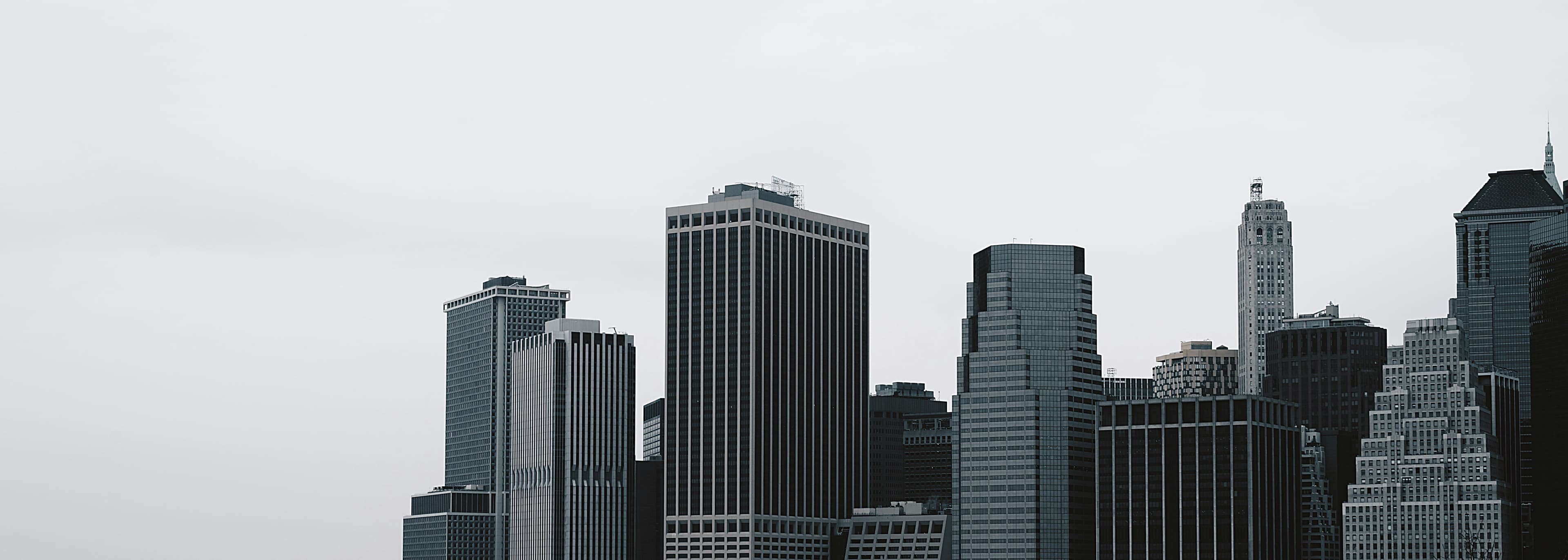 Law firm background