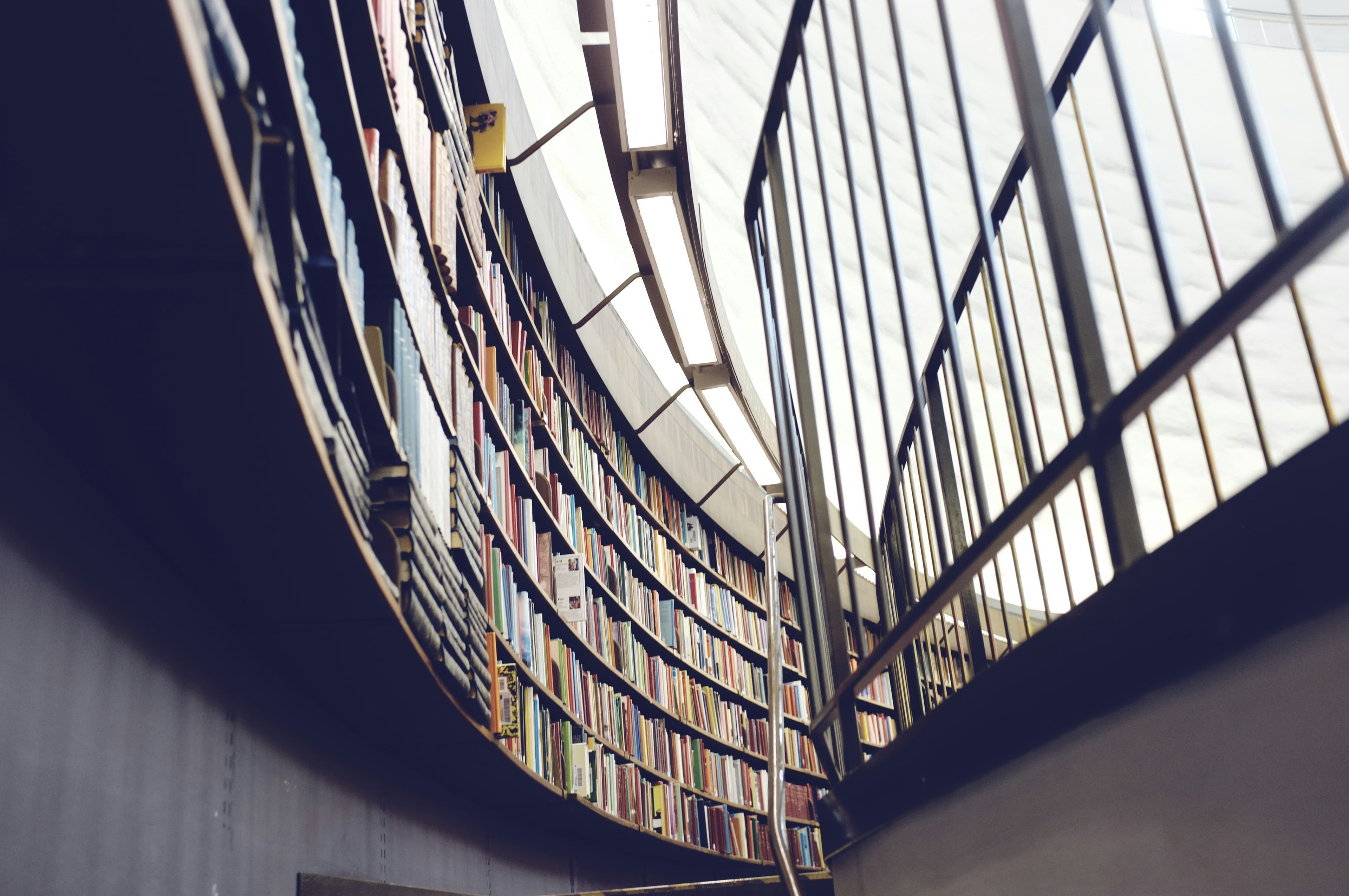 Litigation services